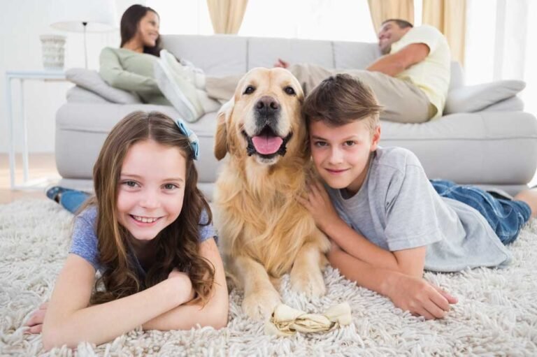Coastal Guardians: The Definitive Profile of Eastcoastpropertyservicesllc